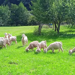  Guest house Au Mohair Des Alpy France