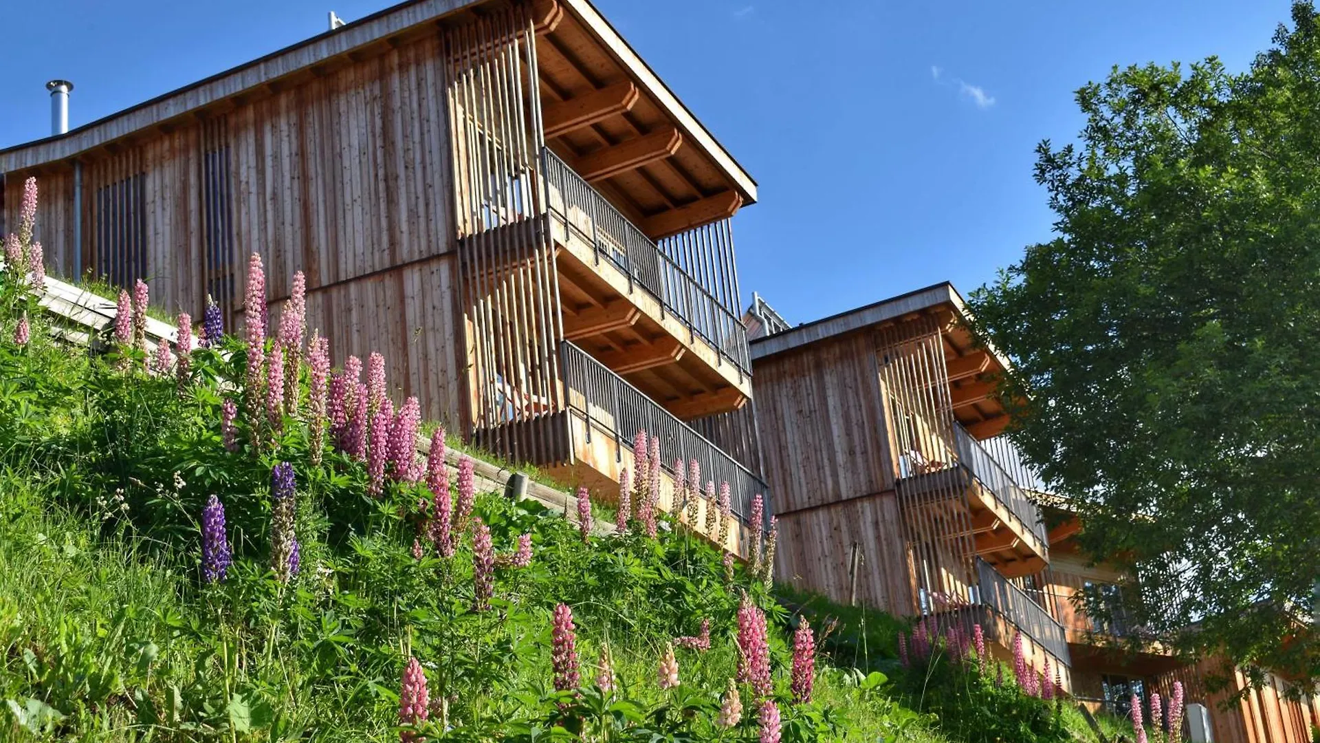 L'Aiguille Grive Chalets Hotel Les Arcs  France